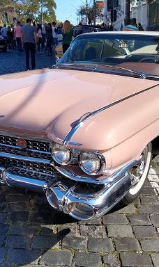 Flower Clock-库里提巴