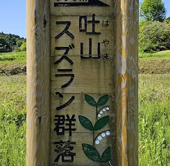 吐山スズラン羣落