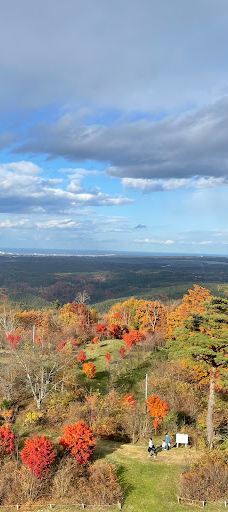 市民の森不習岳-八户