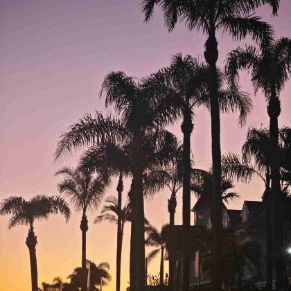 澳大利亚布里斯班+黄金海岸8日7晚自由行