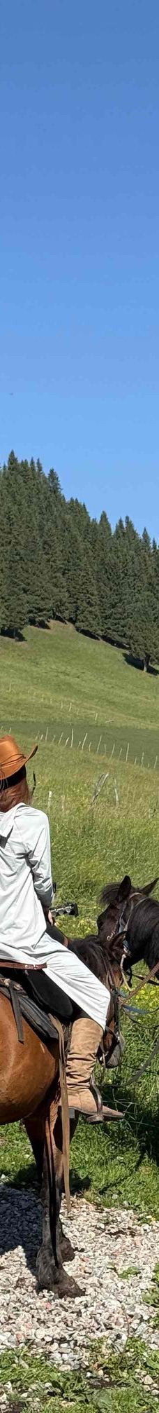 库尔德宁景区-巩留