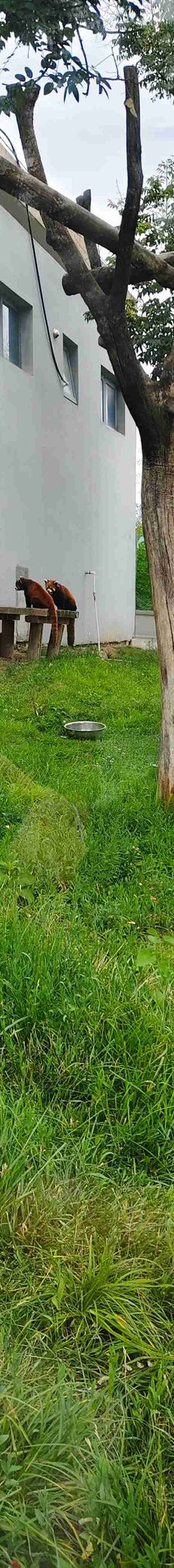 秦岭四宝科学公园-周至-张总上工