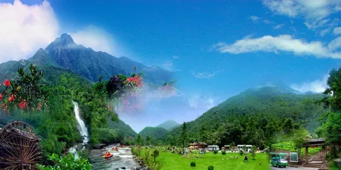 中國·秦嶺天竺山景區-情人林