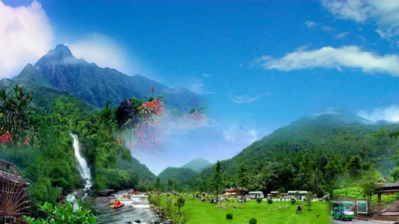 中國·秦嶺天竺山景區-情人林
