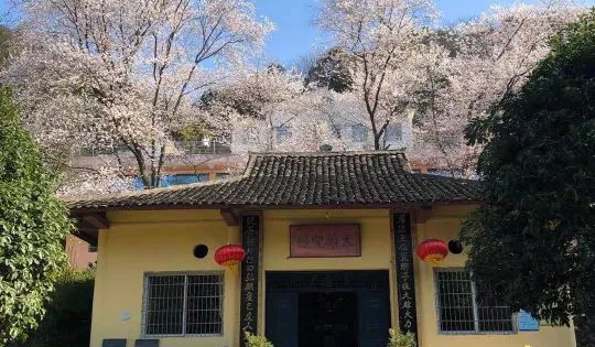 方竹寺