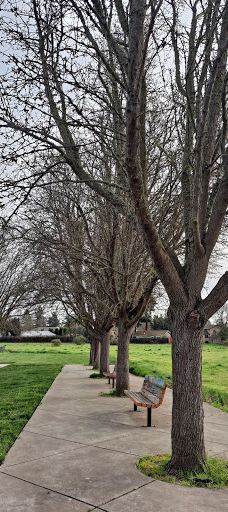 A Place to Play-圣罗莎