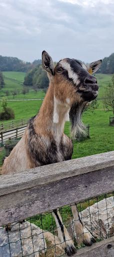 Schloss Lustbühel, Graz-格拉茨