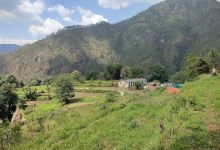 Thaman Gaon (थामड गांव)景点图片