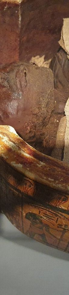 木乃伊博物馆-卢克索