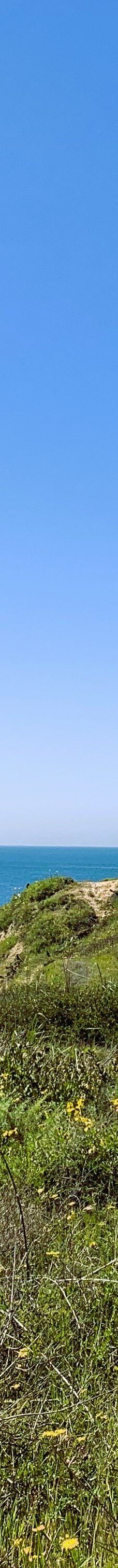 多利松国家自然保护区-佐拉