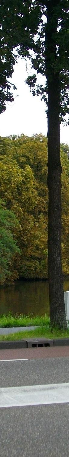 Park De Wezenlanden-兹沃勒