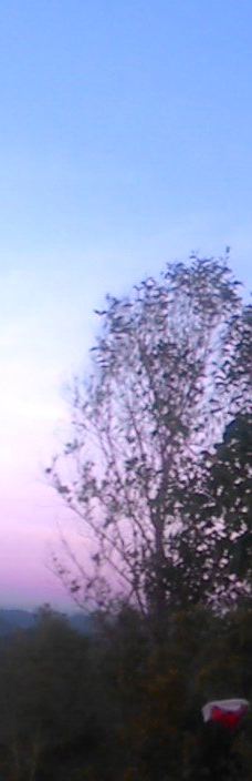 Kosakora Hill-Tanjungsari