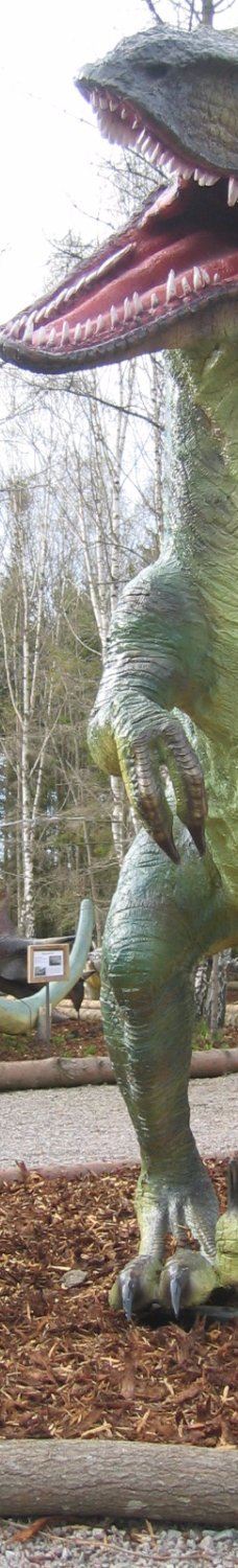 Öland Zoo and Amusement Park-默尔比隆阿