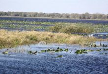 Three Lakes Wildlife Management Area景点图片