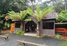 Mole Creek Caves景点图片