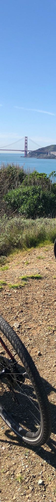 安琪儿岛-蒂伯龙