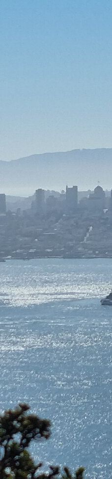 安琪儿岛-蒂伯龙