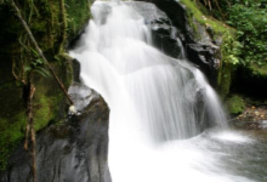 Chiriqui景点图片