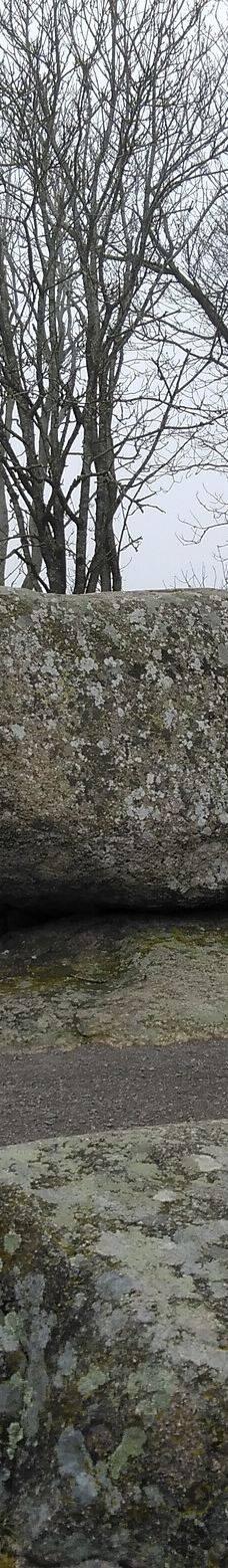 Naturbornholm-阿克尔科拜