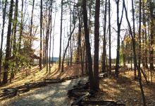 Kings Mountain State Park景点图片
