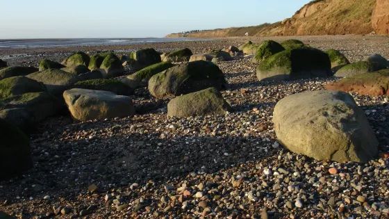 Thurstaston Beach