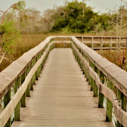 美国迈阿密5日4晚自由行