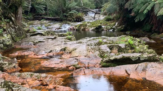 Halls Falls