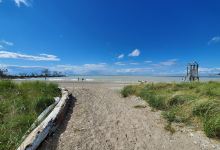 Cove Beach景点图片