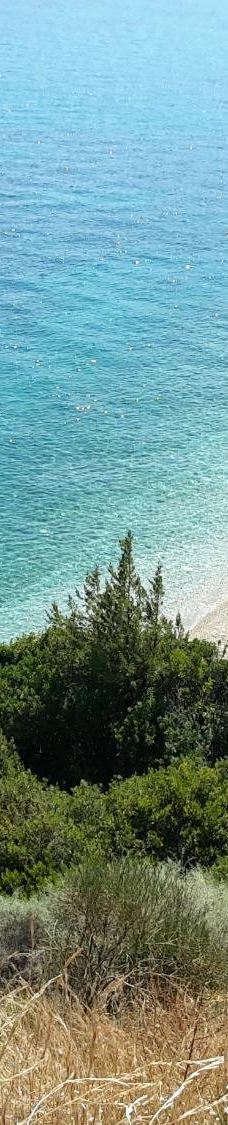 Poros Beach-Kiani Akti