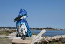 Esquimalt Lagoon Migratory Bird Sanctuary景点图片