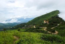 Doi Pha Tang景点图片