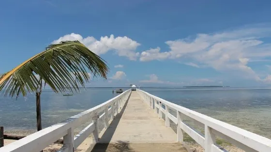 希路德根島