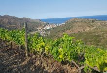 Celler Hugas de Batlle景点图片