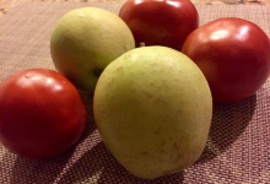 Carver Hill Orchard景点图片