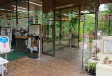 服部绿地都市绿化植物园景点图片