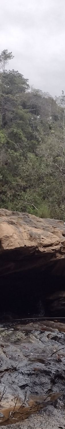 Parque Estadual Mata do Limoeiro-伊塔比拉