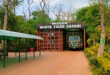 White Tiger Safari Rewa景点图片