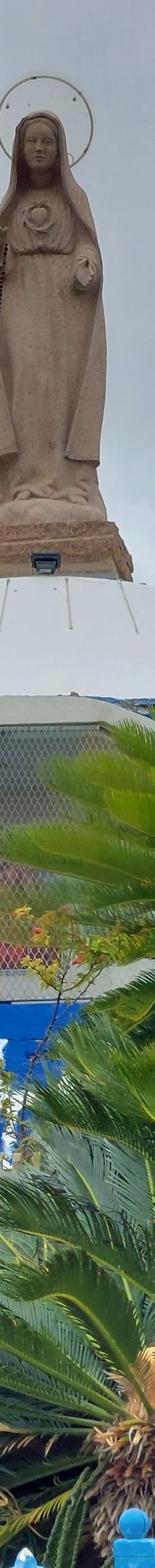 Notre Dame Du Pacifique-阿尔达比勒