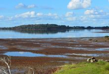 Scenic Estate Conservation Reserve景点图片