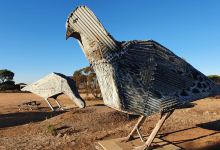 The Big Mallee Fowl景点图片