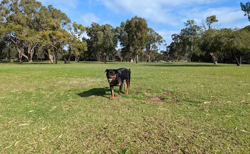 Macfaull Park Disc Golf Park