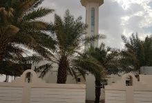 Saif Bin Esyan Almansoori Mosque景点图片