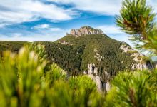 Red clay curvature景点图片