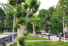 municipal El Ferial de Sarón Park景点图片