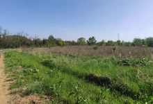 Forêt Le Machet景点图片