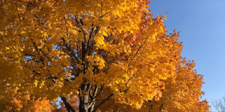Lake Minnewashta Regional Park