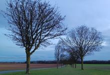 FOWLMERE AIRFIELD MUSEUM景点图片