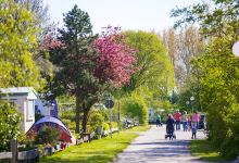 Vakantiepark Capfun de Rotonde景点图片