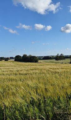 Hejlsminde Strand Camping-海尔斯