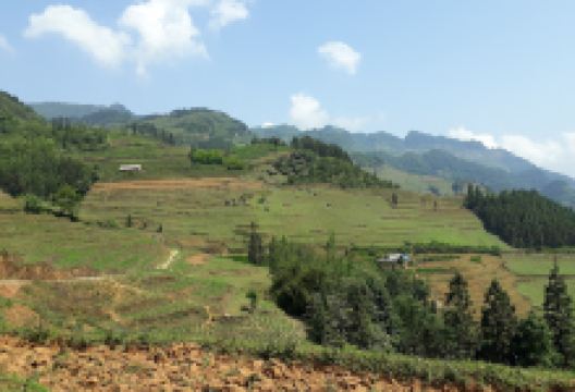 Qaab Xyoob景点图片